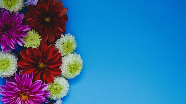 而在拜仁自 而在拜仁自