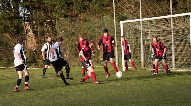 团队支持 团队支持