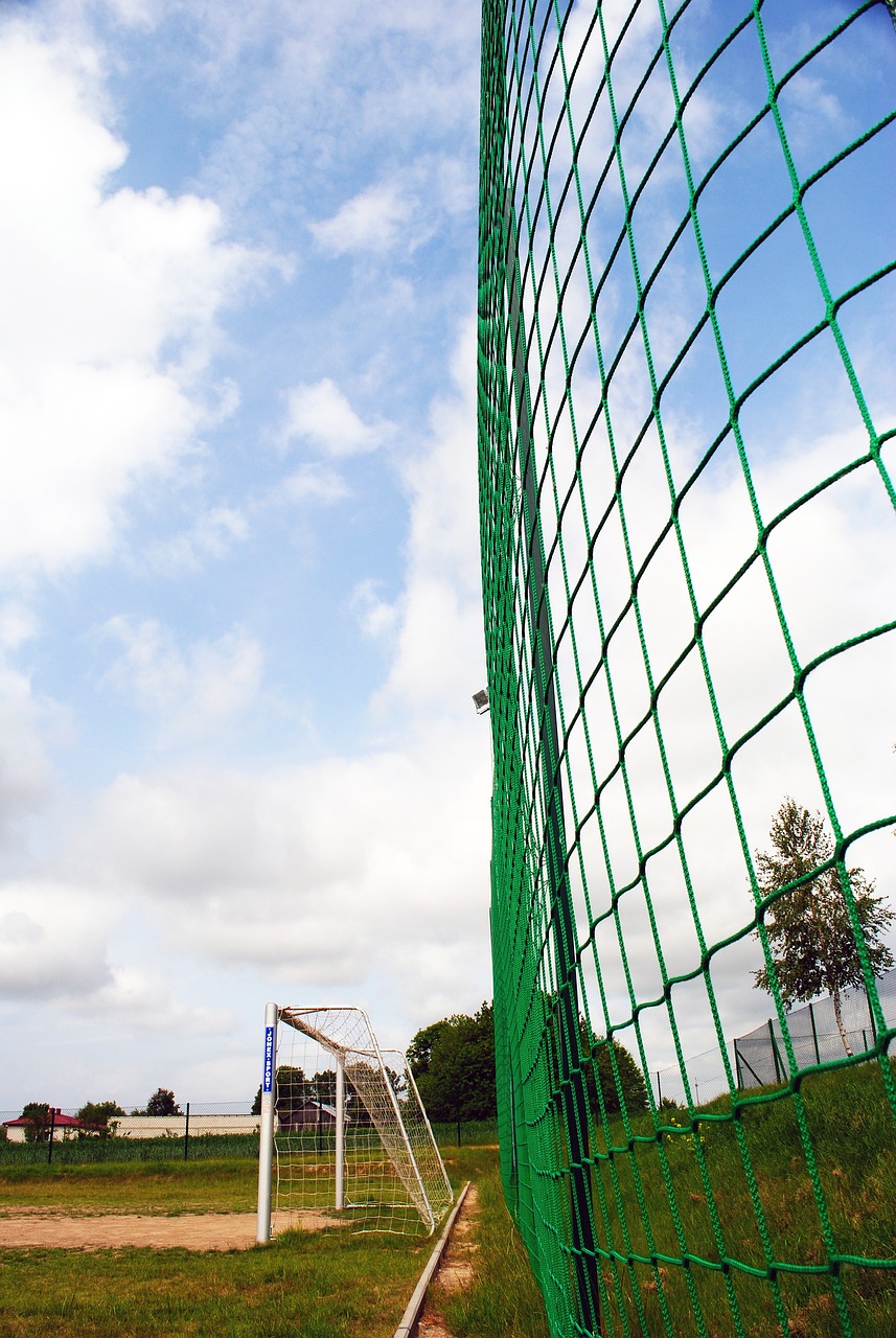 括熟悉的面 括熟悉的面