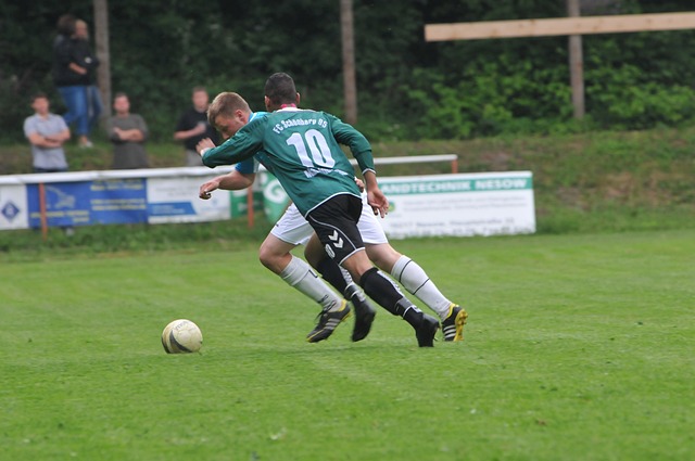 类似本次冬 类似本次冬