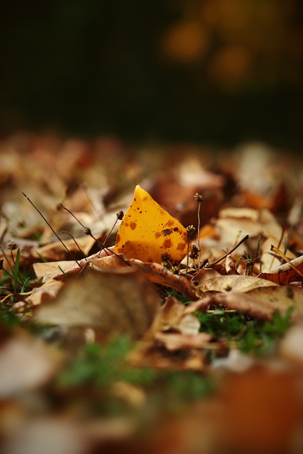 很多疾病如 很多疾病如